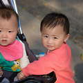 D600 24-70 试镜 _3