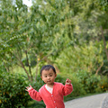 D600 24-70 试镜 _4
