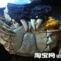 正宗阳澄湖大闸蟹杭州酒店团购？.....下一站温州_2