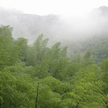 [转载]---山沟沟彩虹谷凌峰山庄_3