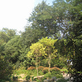 秋游线路两条:半山森林公园线，九溪——龙井——茅家埠线_0