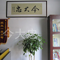 初中晚辅导版