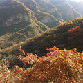 一年红叶正当时 携小翼游坡峰岭赏红叶_5