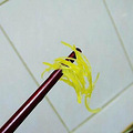 柚子皮不能扔啊  自制蜂蜜柚子茶_2