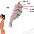 腰间盘突出症状_1