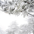 【重装强穿 雪山露营】柴刀组7人勇闯雪盆赤豆洋，杀出“雪路”！_1