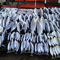 吉隆坡，仙本娜，马六甲和新加坡自助游 Dec 2012_0