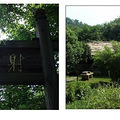 新昌大佛寺AAAA级旅游景点自助游攻略_2