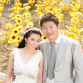 婚礼现场搭配婚纱颜色_0