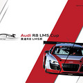 �µ�R8 LMS�� ����ع�2012 �����ڴ�2013_0
