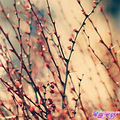 2013金牛座爱情运势