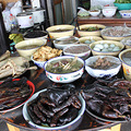 城市美食攻略+安昌行_3