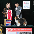 2013年NGKC武汉冠军展-牧羊之王比赛