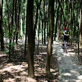 茅家埠+凤凰山 XC一日游_3