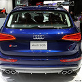 ������ RS  Q5 �ܸ�����ľ��_2