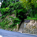 莫干山旅游度假--------莫干山居_0