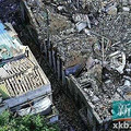 广州开发商强拆“熊猫级”民国建筑 网友:土鳖(图)