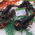 2013.06.08-06.14 更新分享家庭旅馆 暴走西班牙巴塞罗那携手之旅_0