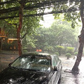 8月2日杭州天气：这两天午后还有雷雨_5