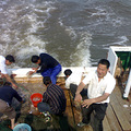 宁波象山石浦休闲捕鱼旺季开始了_0