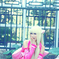 cosplay798Ӱ_2