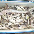 双休日出海游玩_1