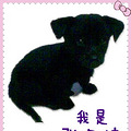 《我是张冬妹》 （亲子 睡前故事；温馨动物故事）_0