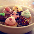 �������ٺ�����飬�����ѡ��㰮�ñ��ӵ�����cupcake lovers��