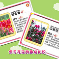 我推荐一款可爱的种植游戏—小朋友的黄金花园_5