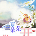 《盛夏朵朵开》【高干宠文】（已完结）