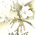 【完结】《灵色倾城》架空/灵异/唯美/温宠  文/静夏流年_1