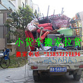 三墩搬家0571-85368983/18758567185_1