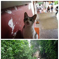 厦门旅游，穷游厦门_2