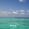 ʷʰαȫ硪Maldives_2