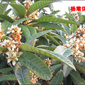 火爆杭城德清杨墩休闲农庄蚕文化一日游_2