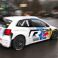 ������������POLO R WRC �C һͷ���޵�����_4
