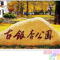 2013年11月16日  长兴八都岕12.5公里银杏长廊，赏秋摄秋正当时_2
