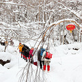 穿越雪谷，步入雪乡，雪幻之旅_2