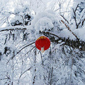穿越雪谷，步入雪乡，雪幻之旅_0