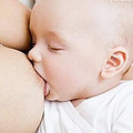 哺乳期能喝板蓝根吗
