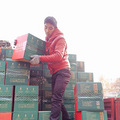 【身为农夫员工真开心，公司给员工发实实在在的福利啦】_0