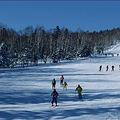天气冷了星期天找人一块去滑雪+泡温泉+赏高山天池