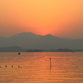 西湖●夕阳_4