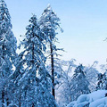 魅力雪谷－－吃喝玩乐，尽兴而归_3