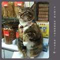 新款发财猫_2