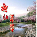 【完结】《姐的世外桃源》穿越/种田/温馨/姐弟恋_1
