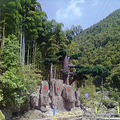 杭州周边旅游好去处---山沟沟彩虹谷农家乐附近旅游六景点推荐_0