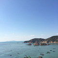 枸杞岛的碧海蓝天_4
