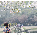 飞花似雪_2
