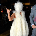 Lady Gaga��ë���� ��������ս�Ӿ�����_0
